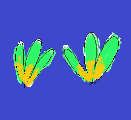 where is my&nbsp;country